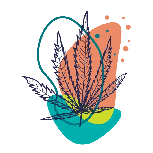 Modern professional cannabis dispensary interior with contemporary design and welcoming atmosphere